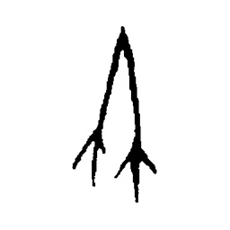 竹 in Oracle bone script