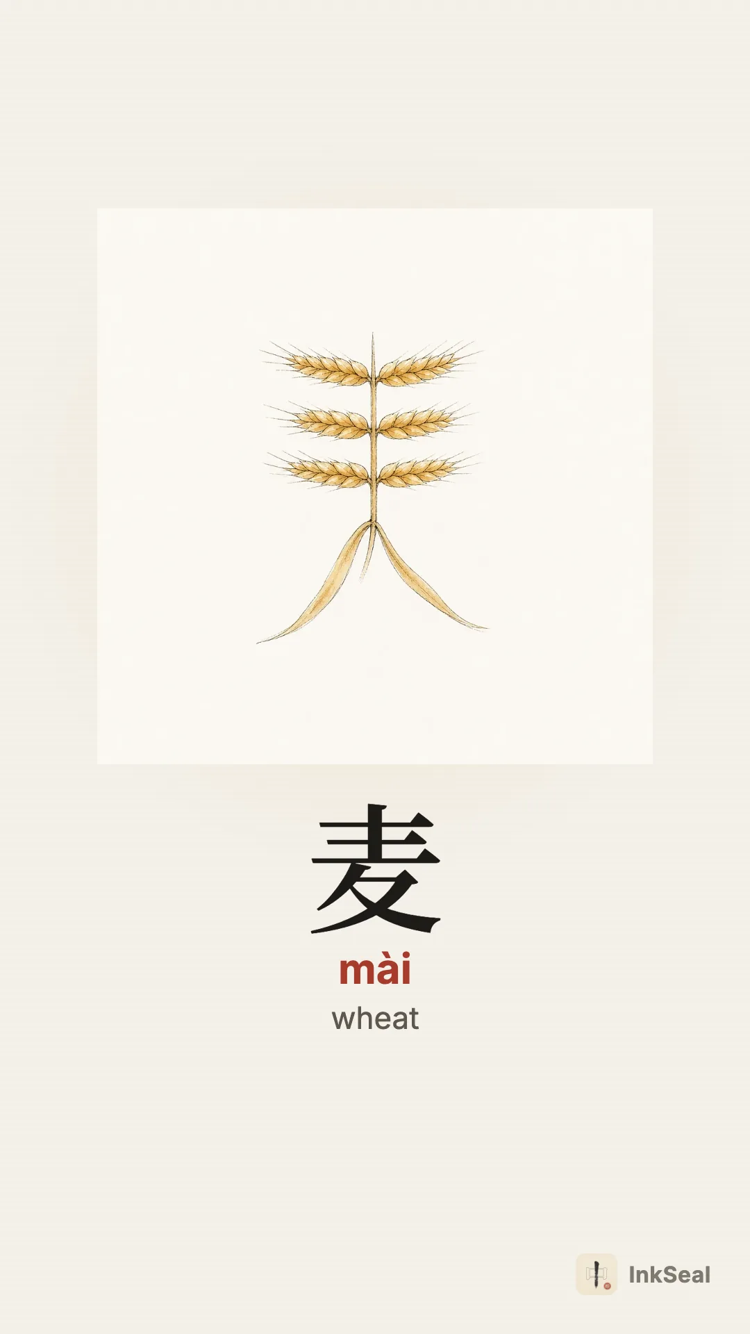 Video mnemonic for the Chinese character 麦