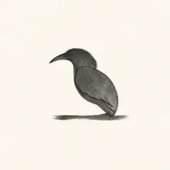 Memory illustration for the Chinese character 乌 (wū, crow / black)