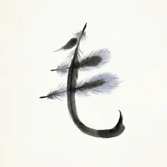 Memory illustration for the Chinese character 毛 (máo, hair / fur)